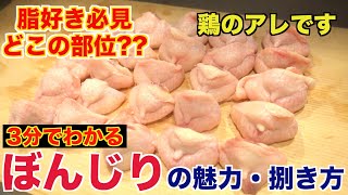 【焼き鳥】ぼんじりってどこの部位 [upl. by Sivie]