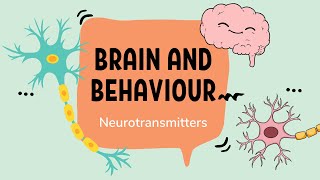 IB Psychology – Neurotransmission and Neurotransmitters [upl. by Aniger]