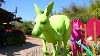 Revamped Kangaroo Habitat at Busch Gardens Tampa Bay Kangaloom Leaps Back into Action [upl. by Llerahs]