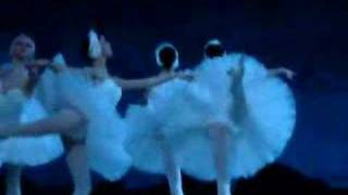 Tamara Rojo Igor Kolb Swan Lake [upl. by Jovi52]