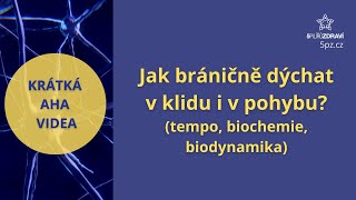 Jak správně bráničně dýchat v klidu i v pohybu tempo biochemie biodynamika [upl. by Yornek]