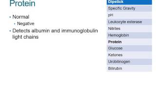 How to Read a Urinalysis Result [upl. by Ynaffet]