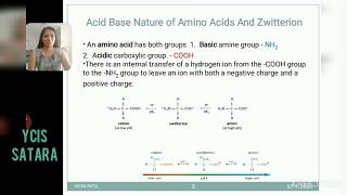 Zwitterion and acid base nature of amino acids [upl. by Carbo474]