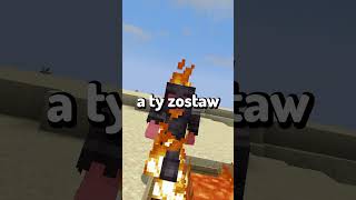 Najbardziej Nielogiczne Rzeczy W Minecraft 83 shorts [upl. by Eelyac]