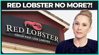 What REALLY Killed Red Lobster [upl. by Retrak]