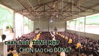 Chăn nuôi tổng hợp như thế nào cho đúng  VTC16 [upl. by Culosio]