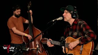 Gruff Rhys  quotSadness Sets Me Freequot Live at WFUV [upl. by Imojean]