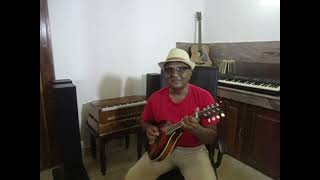 සෙනෙහස විඳිනට Senehasa Vidinata Mandolin Cover Home made [upl. by Shanie663]