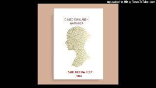 Swelihle Da Poet  Iqiniso emhlabeni wamanga [upl. by Modie54]