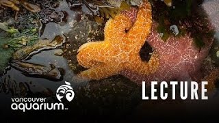 Introduction To Marine Life Course Intertidal Marine Organisms [upl. by Azzil]