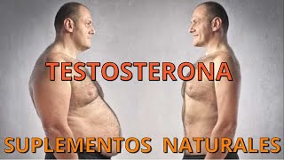 QUÉ SUPLEMENTOS NATURALES AUMENTAN TU TESTOSTERONA SIN FUERZA DE VOLUNTAD [upl. by Etteniuqna]