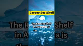 largest ice shelf facts quotes Motivationfacts LifeQuotes [upl. by Natan]