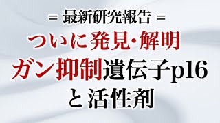 ついに発見・解明 ガン抑制遺伝子p16と活性剤 [upl. by Irt109]