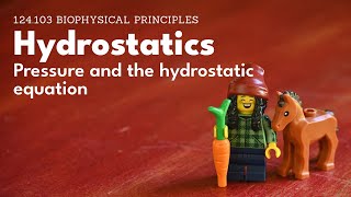 Hydrostatics  pressure and the hydrostatic equation [upl. by Melak]