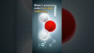 Water Chemistry Reaction propertiesofwater chemistry trending viral [upl. by Penney]