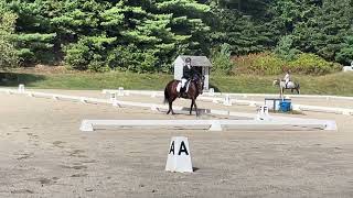 Valkyrie amp Tracey Woods  Area 1 Schooling Horse Trial Championships  September 2024  Starter [upl. by Nanerb712]