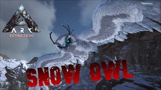 Taming A Snow Owl  Ark Survival Evolved  Extinction [upl. by Ardnekan99]