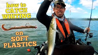 How to Catch Whiting on Soft Plastics with Fishing Mad [upl. by Alial]