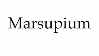 How to Pronounce Marsupium [upl. by Nilkoorb624]