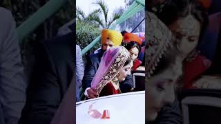 Punjabi Doli Song 2023 [upl. by Neb838]