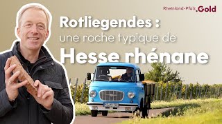 Le Rotliegendes ami de la viticulture  Trouver et fixer des jalons [upl. by Anyt]