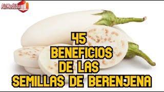 45 Beneficios de las Semillas de Berenjena [upl. by Neffets]