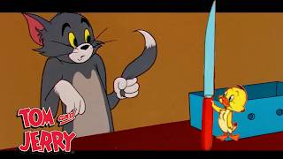 Tom y Jerry enloquecidos  GenWBEspaña [upl. by Englis]