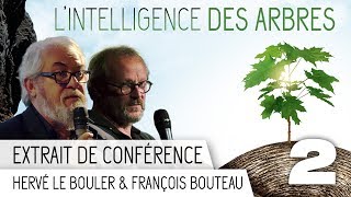 LIntelligence des Arbres  Conférence du 250917  Extrait 2 [upl. by Niliak374]