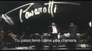 Luciano Pavarotti  La Mia Canzone al Vento Lyrics  FIFA Concert  1990 [upl. by Cornall604]