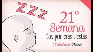 SEMANA 21 de Embarazo  5º Mes  Semana a semana [upl. by Adiehsar]