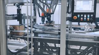 Vertical Packaging Machines Versatility All In One [upl. by Llewoh]