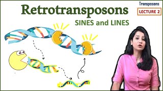 Retrotransposons II LINES SINES II Transposons Part 2 [upl. by Mattah]