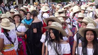 Day of The Mexican Revolution Celebration 2024 Parade Puerto Vallarta [upl. by Nylegna]