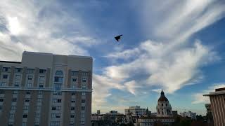 2024 Rose Bowl Parade B2 Stealth Bomber Flyover [upl. by Harvard]