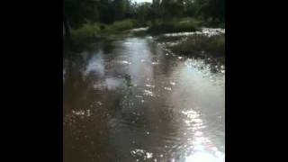 Boggabilla Flood 9am Jan 15 2011 001MOV [upl. by Ahlgren]