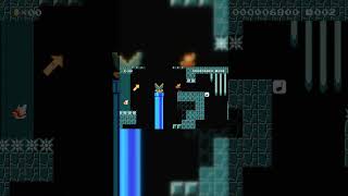 Cavern Speedrun 20s SMM2 C77Q5LBGG [upl. by Getraer283]