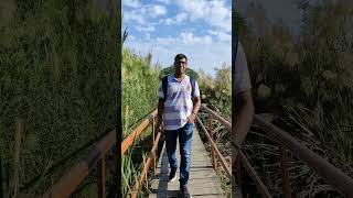 Okhla bird sanctuary  okhla bird sanctuary noida viralvideo shorts [upl. by Attennek]