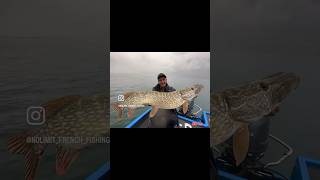 A la recherche des gros brochets lac du Bourget Deux fish en 40 minutes de pêche 🎣🐟 bigpike [upl. by Idrahs]