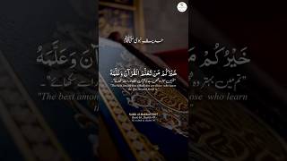 Hadith  hadith bukhari حديث خيركممنتعلمالقرآنوعلمه shorts prophetmuhammad خيركم [upl. by Ragucci]