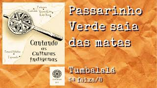 23ª Passarinho Verde saia das matas  TUMBALALÁ  CANTANDO AS CULTURAS INDIGENAS [upl. by Atarman682]