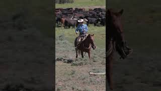 Stockmanship is key guys Learn more at httpsmembers310ranchlifecom ranchlife [upl. by Allyson]