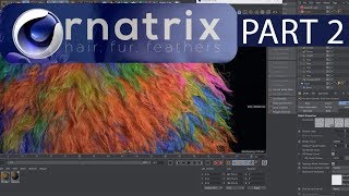 Ornatrix Cinema 4d tutorial Part 2 Redshift Hair Mtl C4D Noise and BodyPaint3d StayHome [upl. by Fryd]