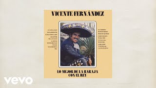 Vicente Fernández  Las Mañanitas Letra  Lyrics [upl. by Maxima]