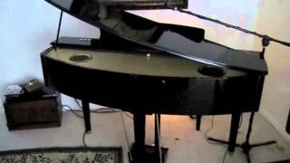 Suzuki MDG100 Micro Grand Piano [upl. by Findley]