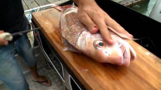 How to fillet a fish easily [upl. by Allenod247]