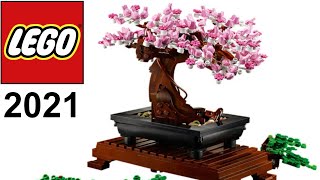 2021 Lego Creator Botanical Bonsai Tree 10281 [upl. by Anegal]