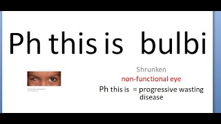 Ophthalmology 166 a PhThisIs Bulbi shrunken eye ball Stages atrophic atrophy causes [upl. by Eugaet]