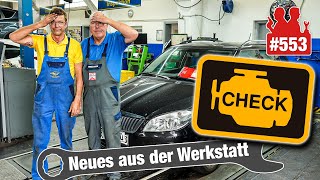 Insider zu BioDiesel SO verschmockt sind Filter an Zapfsäulen 😳 Skoda Fabia 2 Werkstätten ratlos [upl. by Celia]