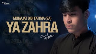 Munajat Bibi Fatima  YA ZAHRA  Amjad Baltistani  New Munajaat 2024 [upl. by Chaffee]