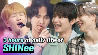 🔴LIVE Watch all recent episodes of 💚SHINee🩵SHINEE [upl. by Eustacia]